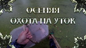 Осенняя охота на утку с подсадной