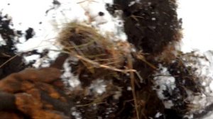 Металлолом любой ценой. Поиск с Голд хантер Т90.