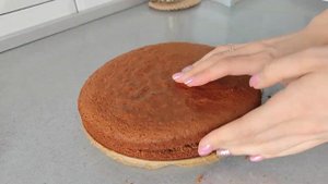 Бисквитный шоколадный торт с орехами