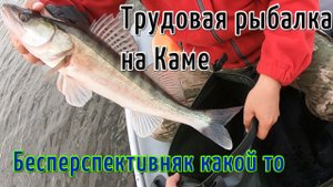 Рыбалка на спиннинг. Река Кама. Ловля судака, щуки, окуня, берша на джиг.