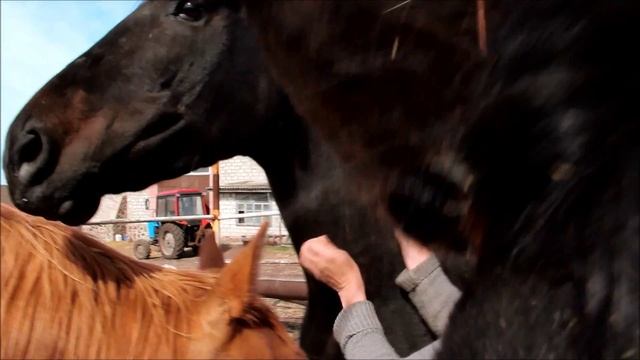 вакцинация 200314