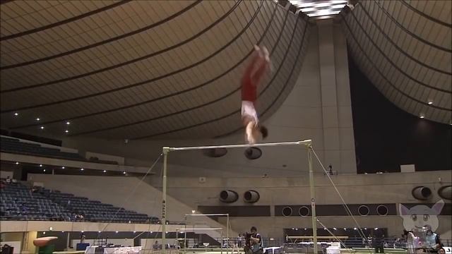 Найскладніші та найкрасивіші елементи у спортивній гімнастиці (Спорт №5)