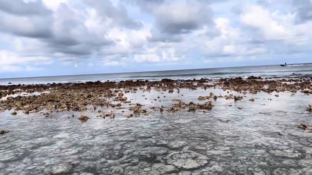 24 ноября 2023 г. смотреть онлайн