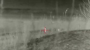 Шакал. Охота на шакала с манком. Регулирование численности шакала.