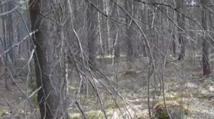 ВЫЕЗД НА КОП НА ВЕЗДЕХОДЕ