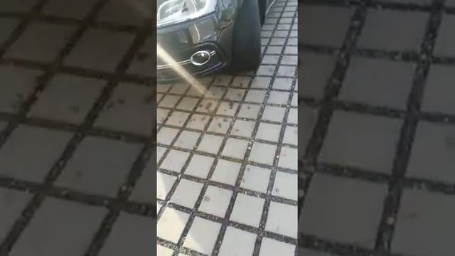 Audi SQ5 Serien Sound