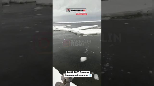 Большая волна покрошила лед, где сидели рыбаки 🎣