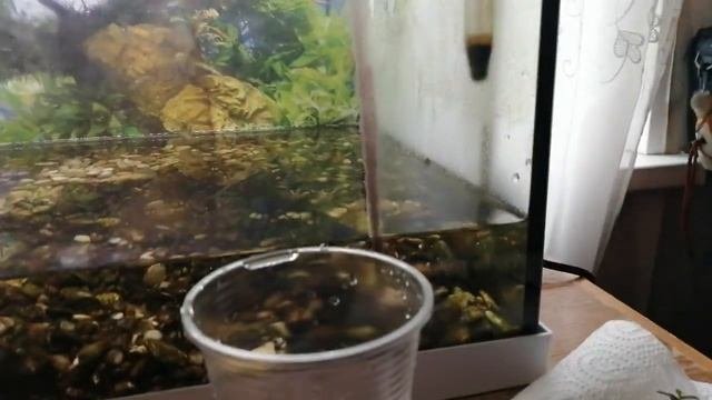 ЗАМЕНА ГРУНТА В ДЕЙСТВУЮЩЕМ АКВАРИУМЕ | ПЕРЕЗАПУСК АКВАРИУМА