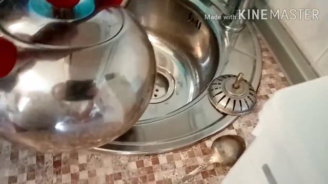 ?ЛАЙФХАК, как БЫСТРО и ЛЕГКО УСТРАНИТЬ ЗАСОР в раковине и ванне.