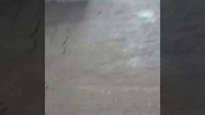 Укладка ламината PALAZZO 8мм.