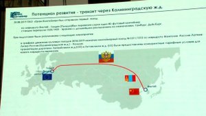 Дмитрий Мельничук, Руководитель Трансконтейнер на ОктЖД, директор терминала «Логистика-Терминал»