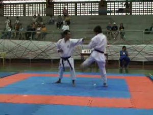 КАРАТЭ-ДО (ТЕХНИКА)