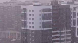 Первый снегопад в Санкт-Петербурге - 17.11.2022