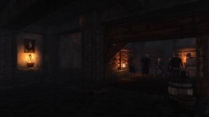 The Witcher 2 - Vergen Tavern Music (1 Hour of Music)