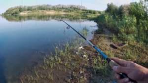 🐟ОКУНЬ💥Дроп-Шот косит Окуня💪Спиннинговая рыбалка на диком озере