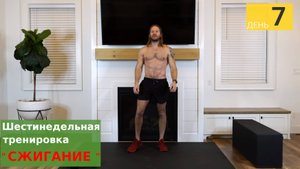 "СЖИГАНИЕ" | День 7: 30-минутная домашняя тренировка верхней части тела с гантелями