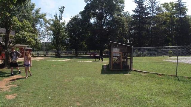 Русские повсюду. Контактный зоопарк в Америке. смотреть онлайн