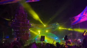 LiB 2022 - Black Coffee - Woogie Stage