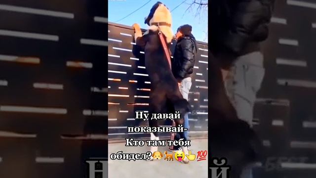 сейчас разберёмся  !