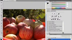 Навигация по рабочему пространству в Photoshop CS4 (9/45)