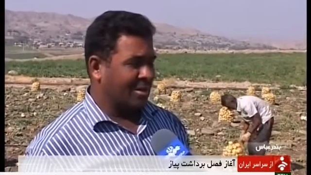 Iran Hormozgan province, Onion harvest برداشت پياز استان هرمزگان ايران смотреть онлайн