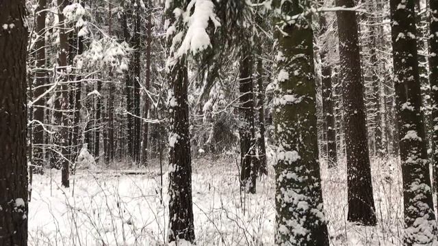 БЫСТРЕНЬКО С БЫВШИМ И МИГОМ К СЕМЬЕ. Поучительные истории из жизни. Интересные любовные рассказы