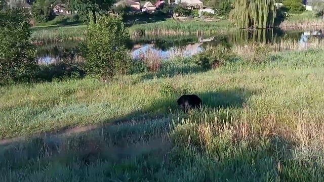 2 июня 2020 г.река ингулец смотреть онлайн