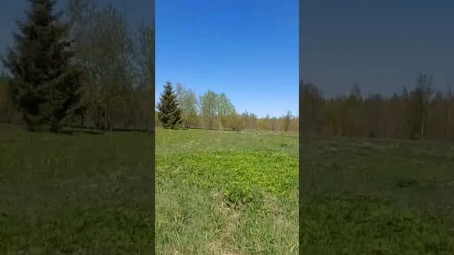 Продаётся дом в Ленинградской области, 90 км от Питера смотреть онлайн