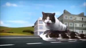 Welcome To Kitty City Forward And Reversed