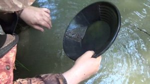 Самородок в первом же лотке!!! Вот это фартануло!!!