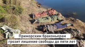 Приморским браконьерам грозит лишение свободы до пяти лет.