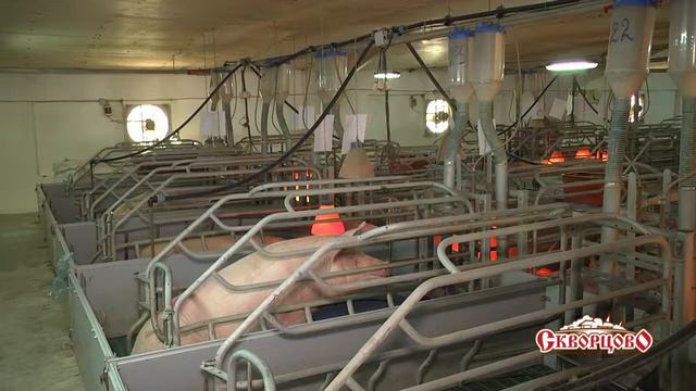 Велес Крым.  Группа компаний Скворцово. Крым