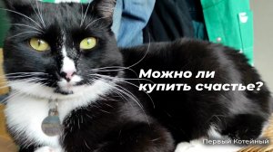 Можно ли купить счастье?