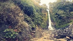 № 9. the Gitgit waterfall in Bali.