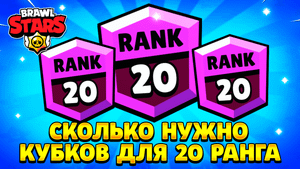 Сколько нужно кубков для 20 ранга в бравл старс