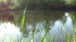 РЫБАЛКА ОЧИСТКА ЛЕСКИ ИЛОМ ЧТОБ ТОНУЛА