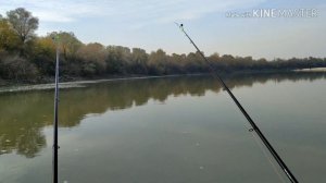 Рыбалка на реке Кубань.Рыбалка на кольцо и донки.