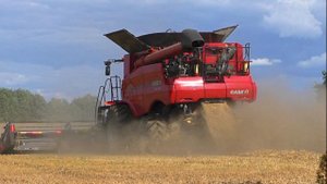 Уборка пшеницы Комбайном Case IH 8250. в Белоруссии