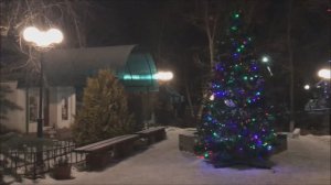 Купание на Крещение. Зимняя сказка в Мураново