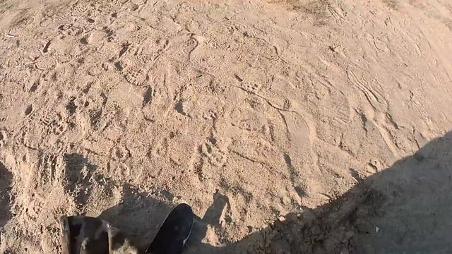 Металлоискатель T-90 Поиск на Куйбышевском пляже г. Омск Часть №10 14.10.2020 год. смотреть онлайн