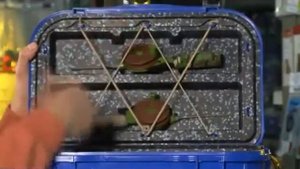 Обзор Ящик рыболова A-Elita SPUTNIK NEW ,А ЭЛИТА СПУТНИК