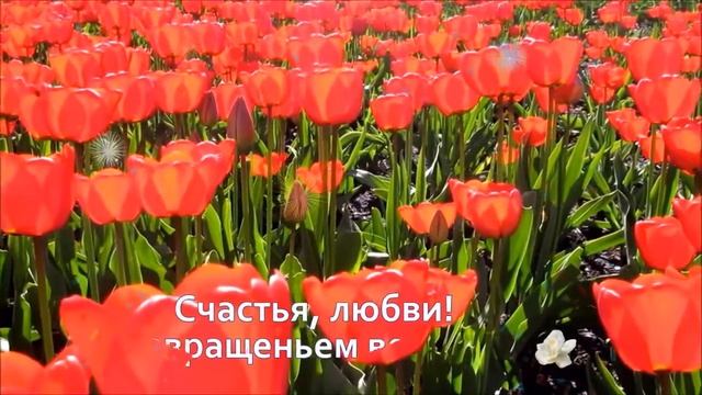 Первый день весны музыкальное поздравление-1 марта