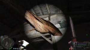 Поврежденная тушка