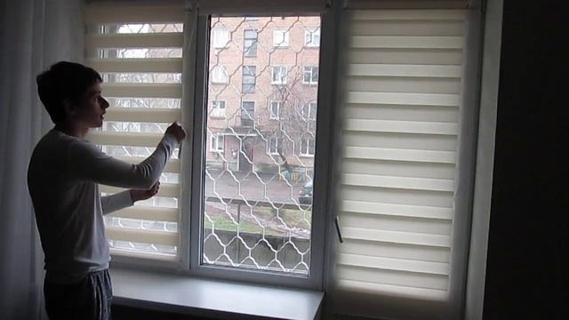 Рулонные Шторы ДЕНЬ - НОЧЬ Зебра смотреть онлайн