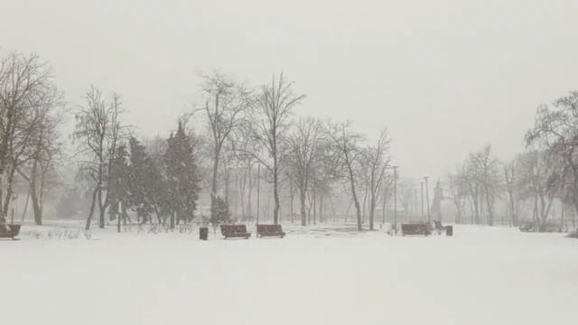 МАРИУПОЛЬ_не_АФРИКА_?_ЗИМА_ПРИШЛА_8_января_2024 смотреть онлайн