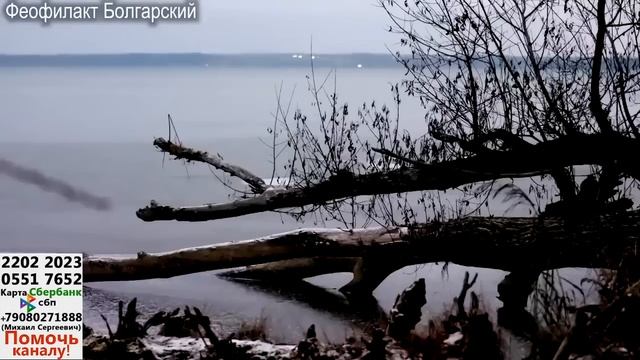 Притча о человеке который забогател и хотел хорошо пожить, но что-то пошло не так #православие #вер смотреть онлайн