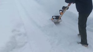 Снежные приключения... (04.12.2023)[1080p]