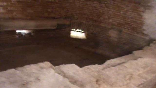 Ленинградская обл Черное & Белое, Волосовский район, д Хотнежа,Заброшенный Храм Покрова Пресвятой смотреть онлайн