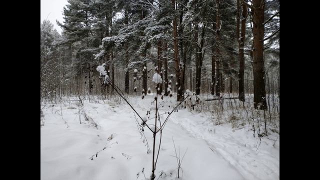 Фёдор Иванович Тютчев "Чародейкою Зимою..." смотреть онлайн