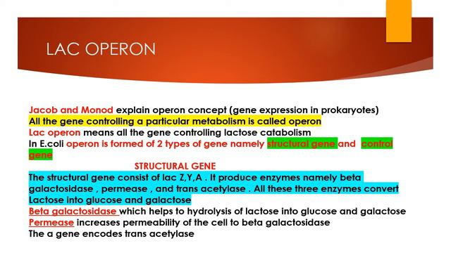 MOLECULAR BASIS OF INHERITANCE | PART 2 | PLUS 2 | BMP ZOOLOGY